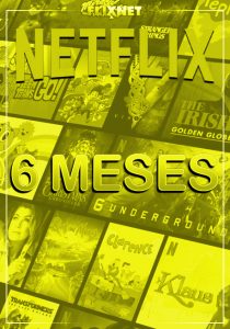 NETFLIX 6 MESES